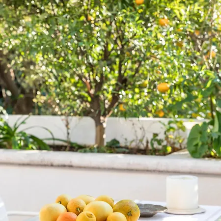 Mariuci With Lush Terrace And Private Garage Apartament